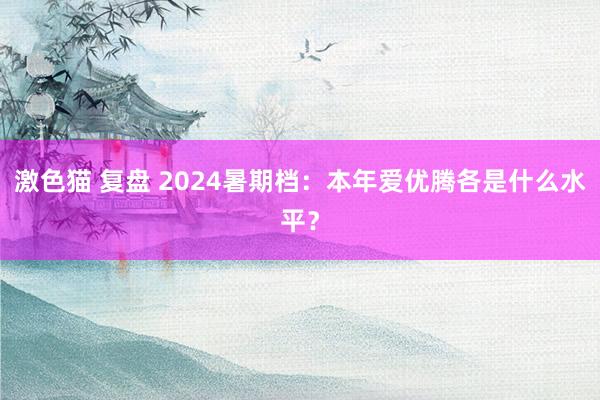 激色猫 复盘 2024暑期档：本年爱优腾各是什么水平？