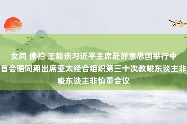 女同 偷拍 王毅谈习近平主席赴好意思国举行中好意思元首会晤同期出席亚太经合组织第三十次教唆东谈主非慎重会议