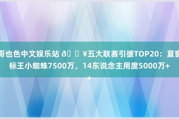 哥也色中文娱乐站 🔥五大联赛引援TOP20：夏窗标王小蜘蛛7500万，14东说念主用度5000万+