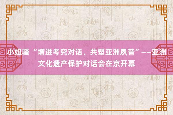 小姐骚 “增进考究对话、共塑亚洲夙昔”——亚洲文化遗产保护对话会在京开幕