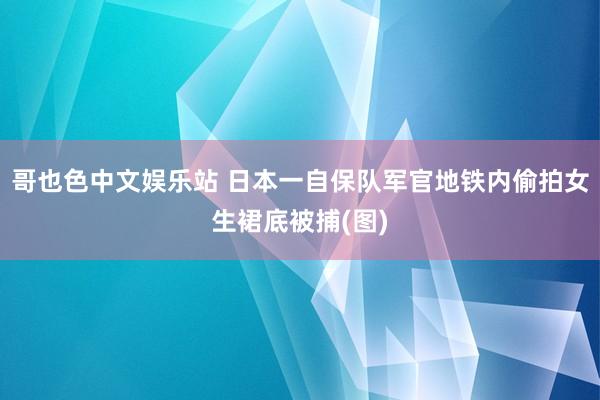 哥也色中文娱乐站 日本一自保队军官地铁内偷拍女生裙底被捕(图)