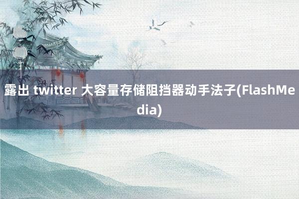 露出 twitter 大容量存储阻挡器动手法子(FlashMedia)